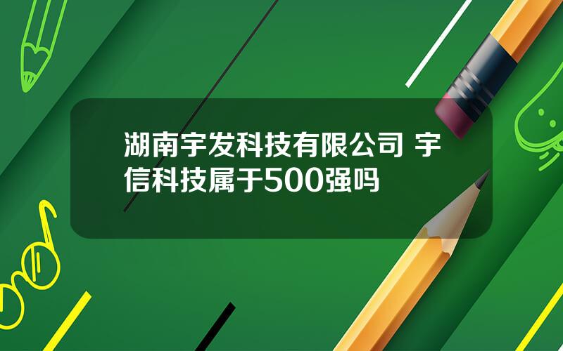 湖南宇发科技有限公司 宇信科技属于500强吗